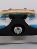 Sector 9 - Punta Lobo