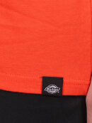 Dickies - Dickies - Horseshoe T-Shirt | Orange