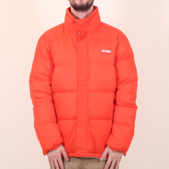 Dickies - Dickies - Oakvale | Orange