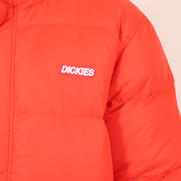 Dickies - Dickies - Oakvale | Orange