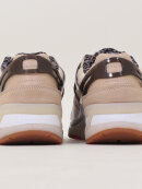 Champion - Pro Premium | Beige