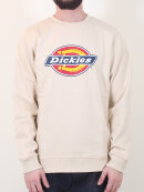 Dickies - Dickies - Pittsburgh Sweatshirt | Light Taupe