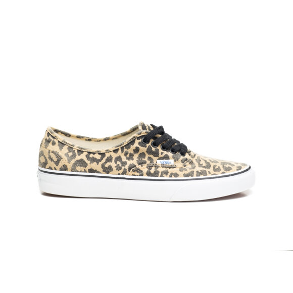 Vans - Vans - Authentic | Van Doren