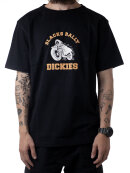 Dickies - Dickies - Springhill