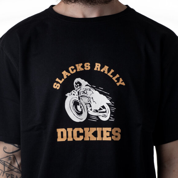 Dickies - Dickies - Springhill