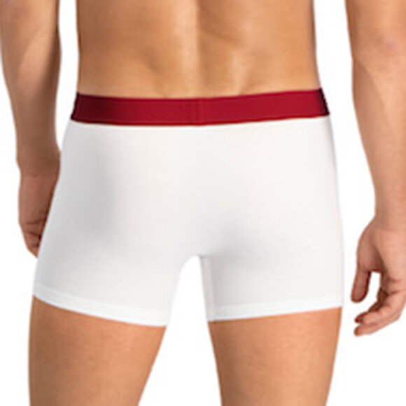 Levi's® - Levi's® - Boxer Brief 2Pack | White