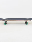 Globe Skateboards - Globe Skateboards - G1 Roaches