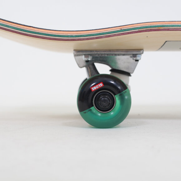 Globe Skateboards - Globe Skateboards - G1 Roaches