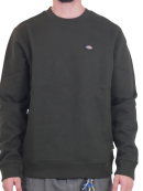 Dickies - Dickies - Oakport Sweatshirt  | Olive Green