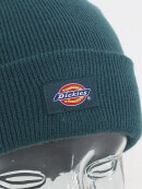 Dickies - Dickies - Gibsland | Ponderosa Pine 