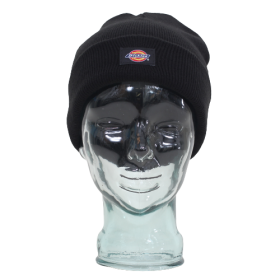  Dickies - Gibsland | Black 