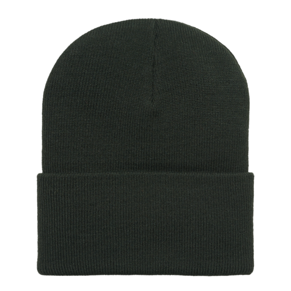 Carhartt WIP - Carhartt WIP - Acrylic Watch Hat | Dark Cedar