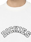 Dickies - Dickies - West Vale T-Shirt S/S