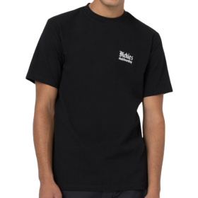 Dickies - Skate T-Shirt | Black