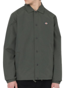 Dickies - Dickies - Oakport Coach | Olive Green