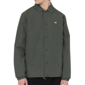 Dickies - Oakport Coach | Olive Green