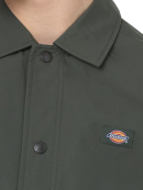 Dickies - Dickies - Oakport Coach | Olive Green