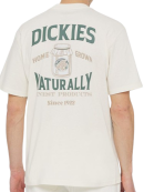 Dickies - Dickies - Elliston T-Shirt S/S | Cloud