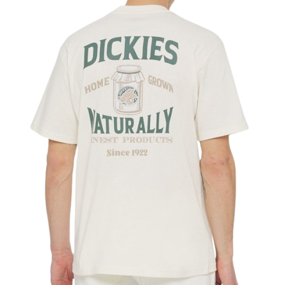 Dickies - Dickies - Elliston T-Shirt S/S | Cloud