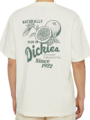 Dickies - Dickies - Raven T-Shirt S/S