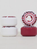 Ricta - David Gonzalez Speedrings