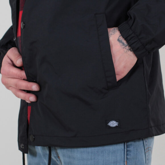 Dickies - Dickies - Torrance | Black